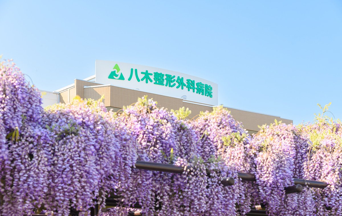 藤の花に包まれた当院の外観